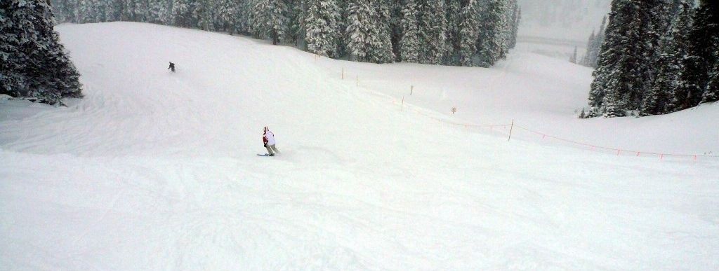 Auf der Forest Meadow