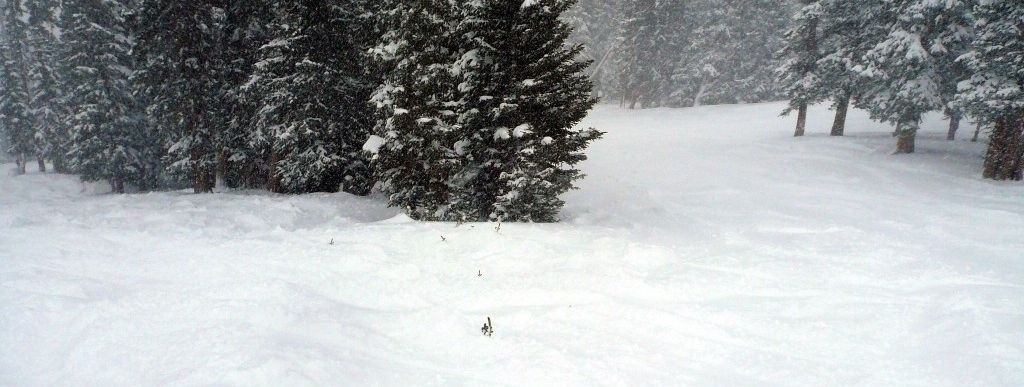 Excelleration-Piste!