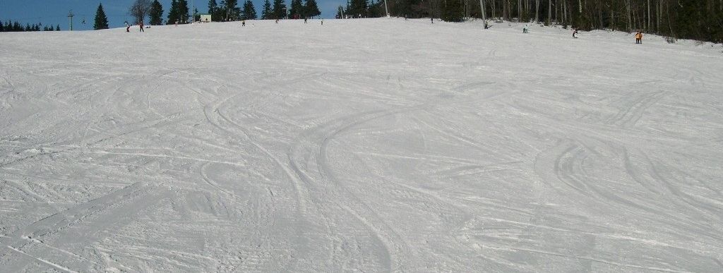 Breite Piste der Almwiesenabfahrt
