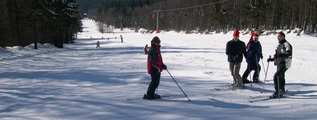 Oberhalb der Almberg- Abfahrt
