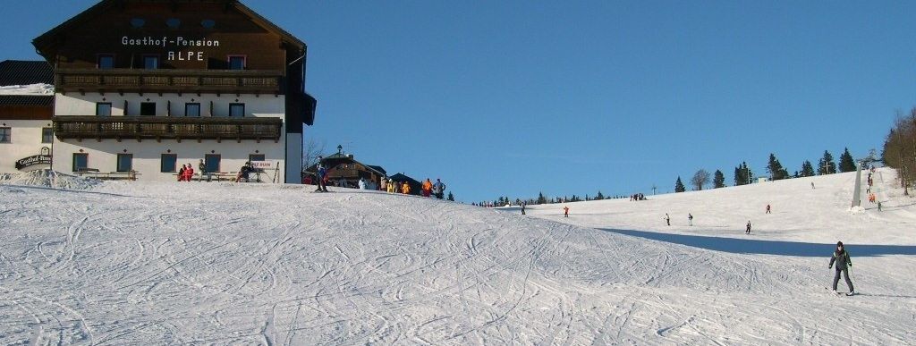 Blick auf Almwiesenlift