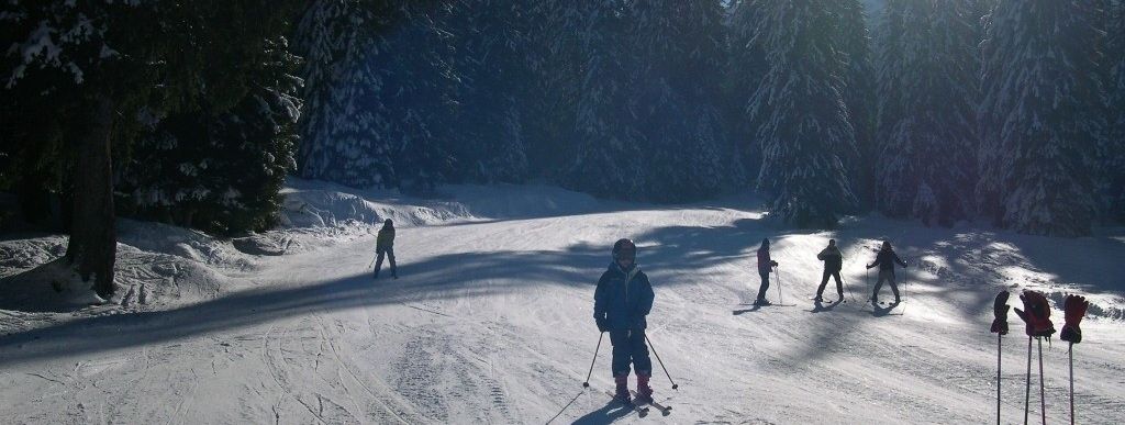 Einfache Pisten (hier die sehr lange blaue Abfahrt vom 2019m hohen Pointe de Nyon bis nach Morzine)!