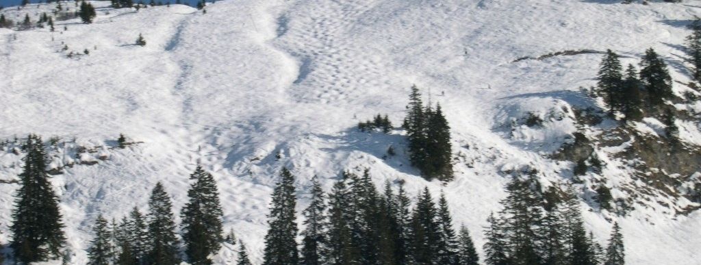 Neben den präparierten Pisten finden sich Naturbuckelpisten und Tiefschneeabfahrten (Lawinensituation beachten!!!)