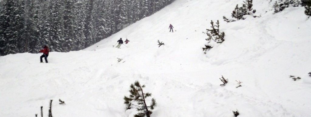 Review about Copper Mountain - Category: Freeride