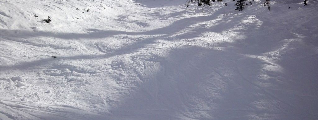 Review about Crested Butte - Category: Freeride