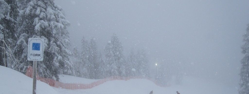 Review about Cypress Mountain - Category: Advanced