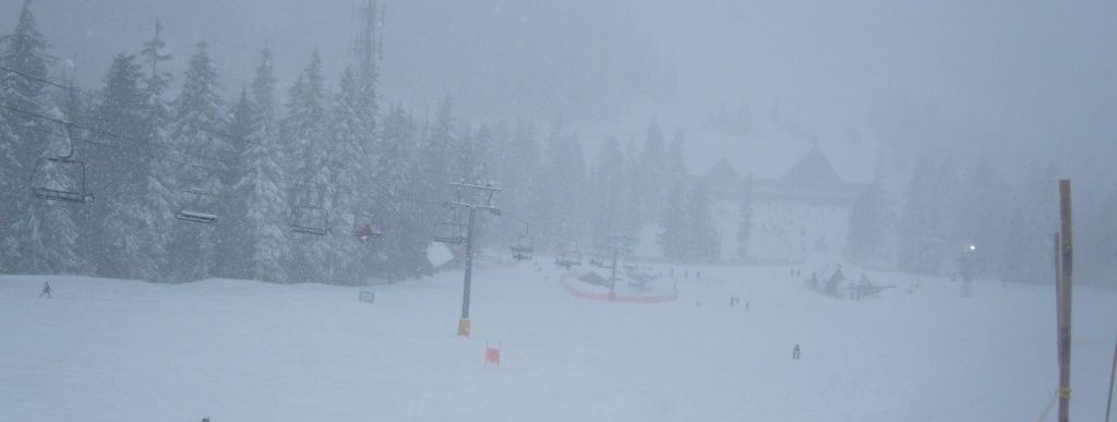 Review about Cypress Mountain - Category: Beginner