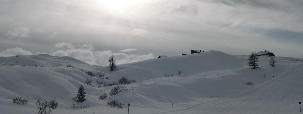 Blue marked slope starting at Ütia Pralongia