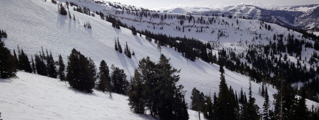 Review about Grand Targhee - Category: Freeride