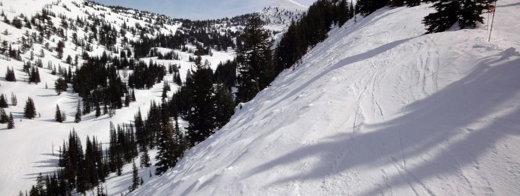 Review about Grand Targhee - Category: Freeride