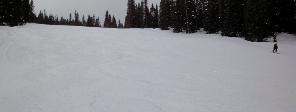 Review about Durango Purgatory - Category: Beginner