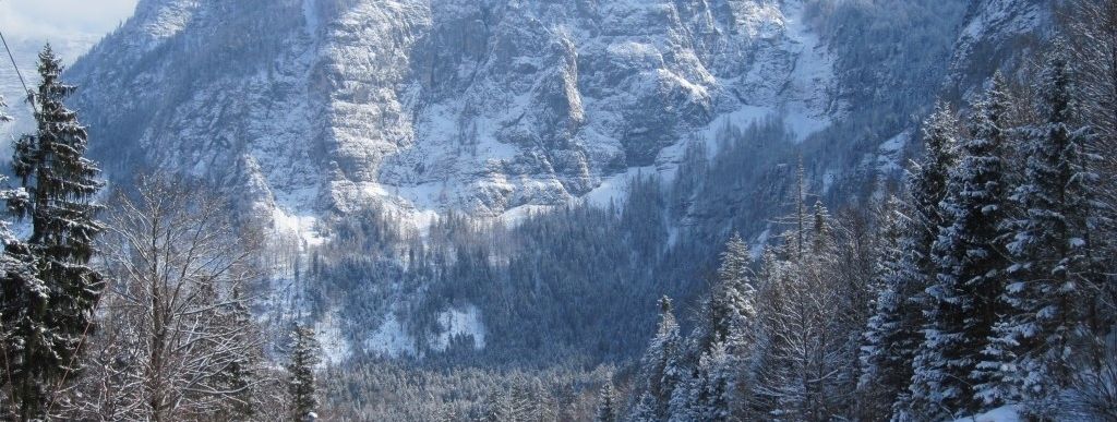 Review about Krippenstein Obertraun - Category: Family