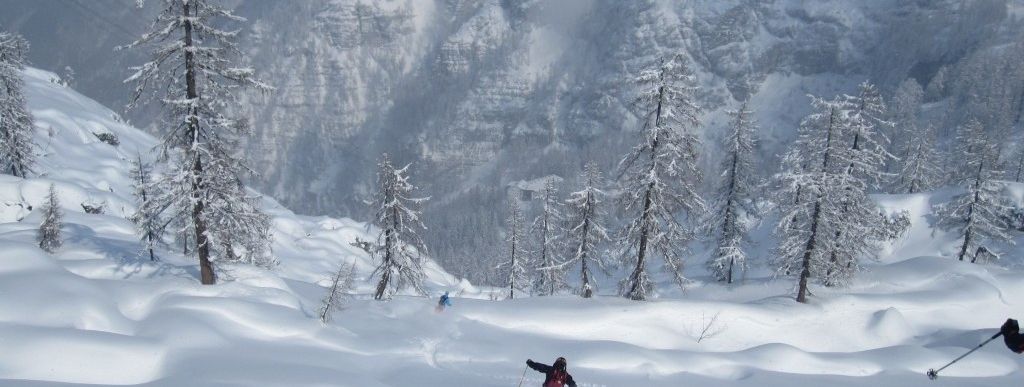 Review about Krippenstein Obertraun - Category: Freeride