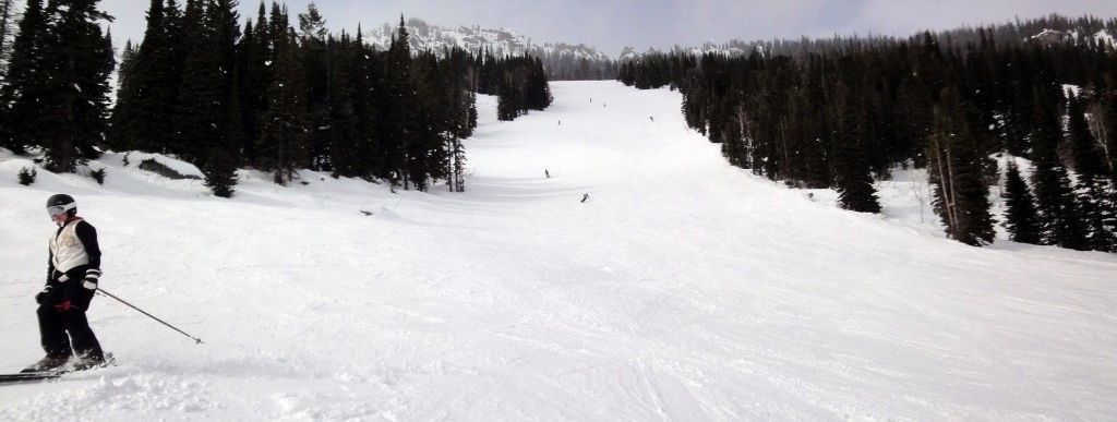 Review about Jackson Hole - Category: Family