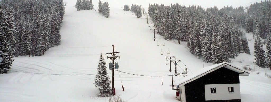 Review about Loveland - Category: Family