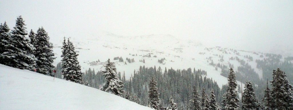 Review about Loveland - Category: Freeride