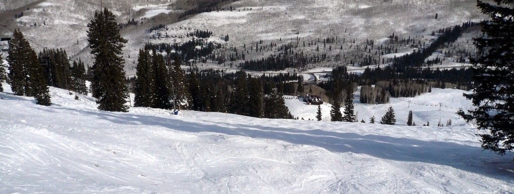 Ungroomed terrain is to be found every where