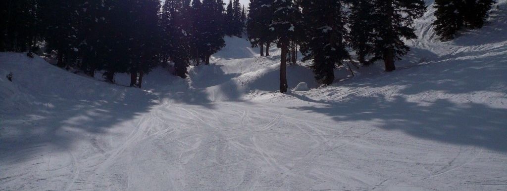 Review about Solitude - Category: Family