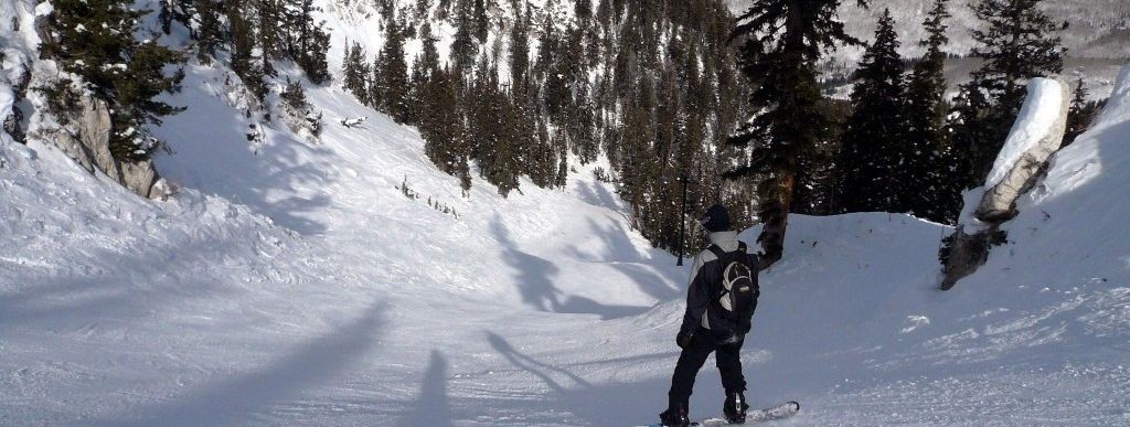 There are a lot of broad and large trails in Solitdue