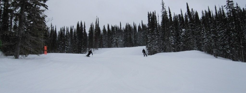 Review about Revelstoke Mountain Resort - Category: Advanced