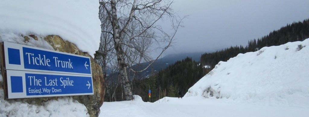 Review about Revelstoke Mountain Resort - Category: Beginner