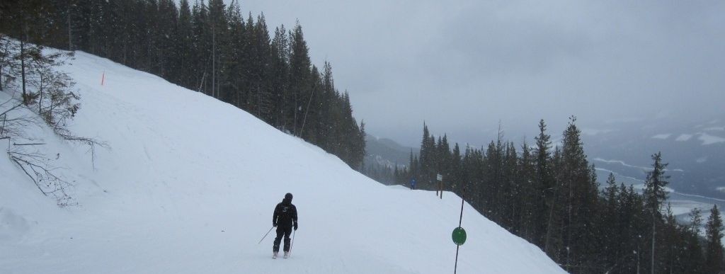 Review about Revelstoke Mountain Resort - Category: Beginner