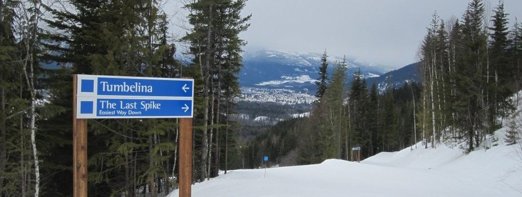 Review about Revelstoke Mountain Resort - Category: Beginner