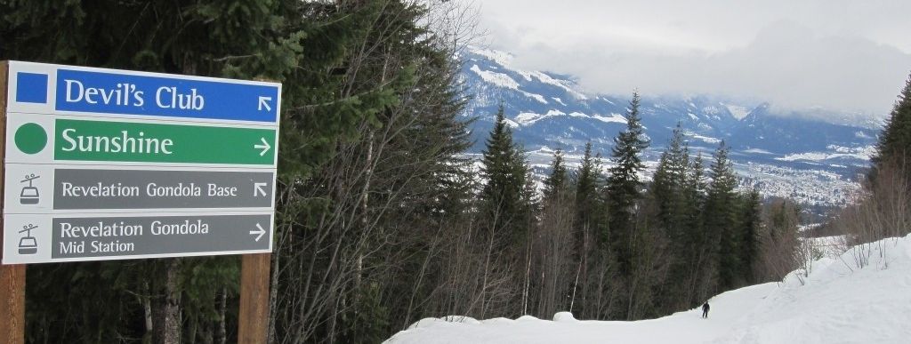 Review about Revelstoke Mountain Resort - Category: Beginner