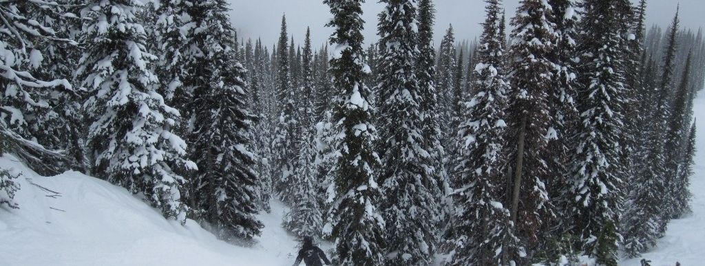 Review about Revelstoke Mountain Resort - Category: Freeride