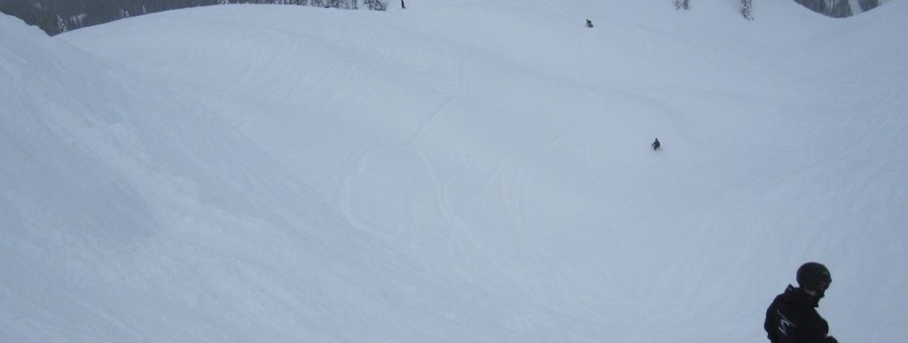 Review about Revelstoke Mountain Resort - Category: Freeride