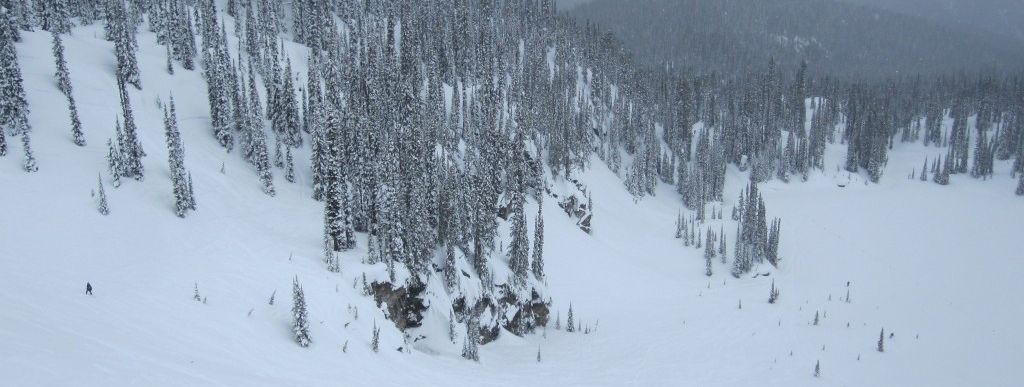 Review about Revelstoke Mountain Resort - Category: Freeride