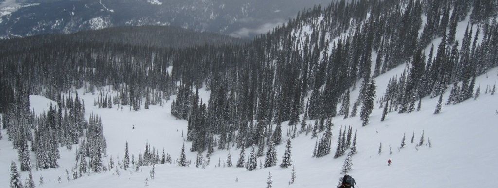 Review about Revelstoke Mountain Resort - Category: Terrain Parks