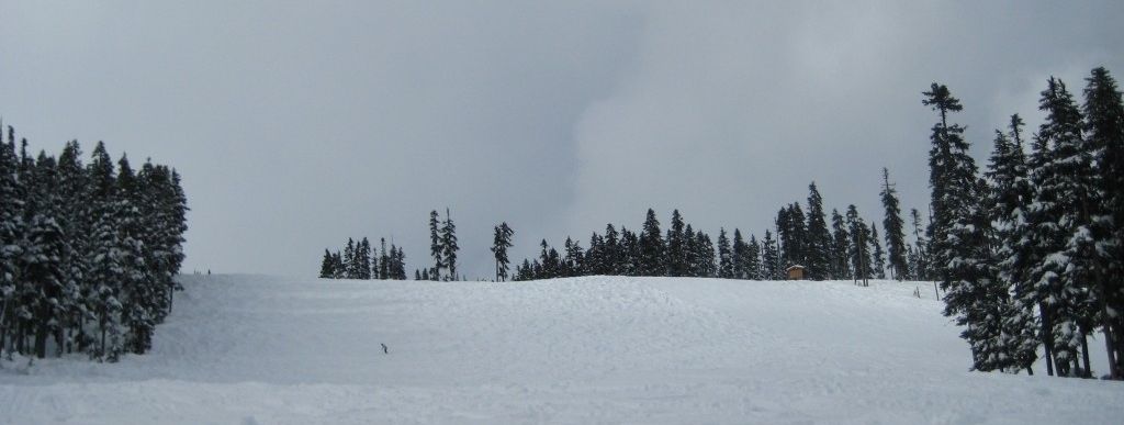 Review about Whistler Blackcomb Mountains - Category: Beginner