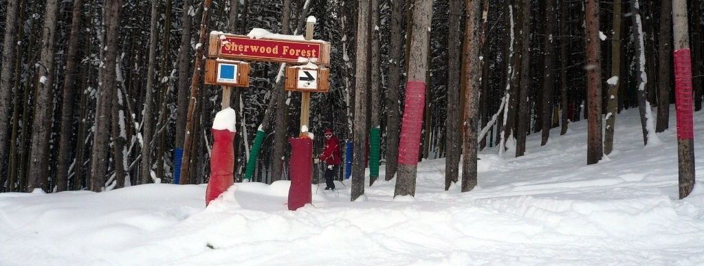 Review about Vail - Category: Family