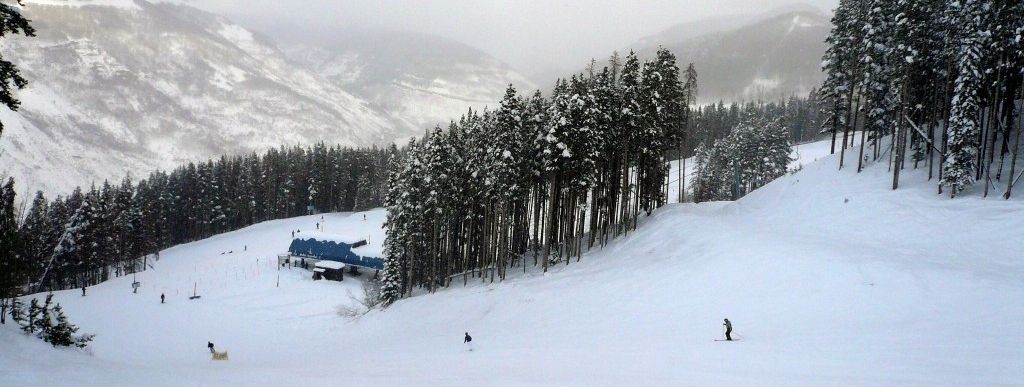 Review about Vail - Category: Freeride