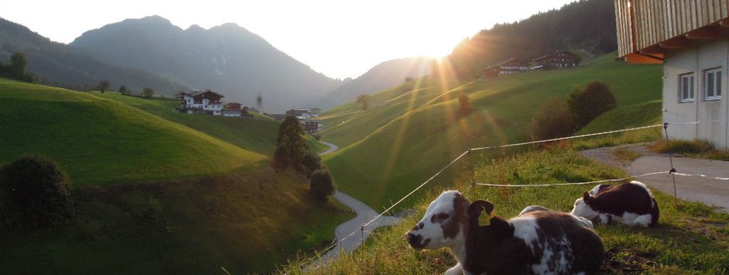 Detaillierte Infos zur Unterkunft Apartement Wiemhof