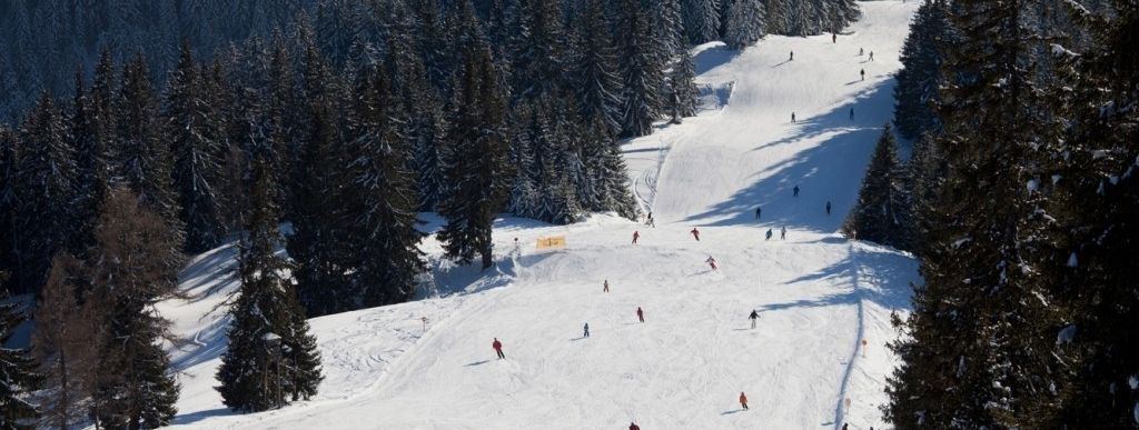 Breite und flache Pisten bieten auch Anfängern beste Möglichkeiten ihr Können zu verbessern