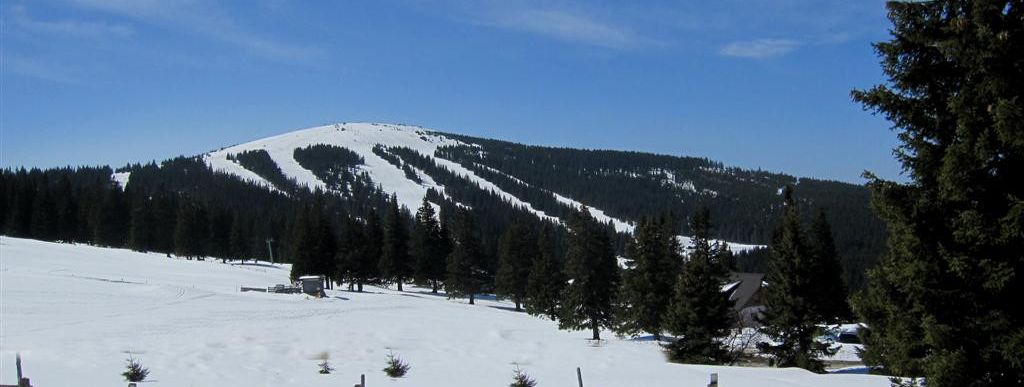 General information about your stay at Ferienhaus Hirt