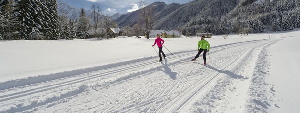 Information on Cross-Country Skiing at Bodental