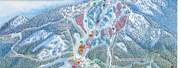 Detaillierte Infos zum Skiurlaub im Skigebiet Mount Seymour