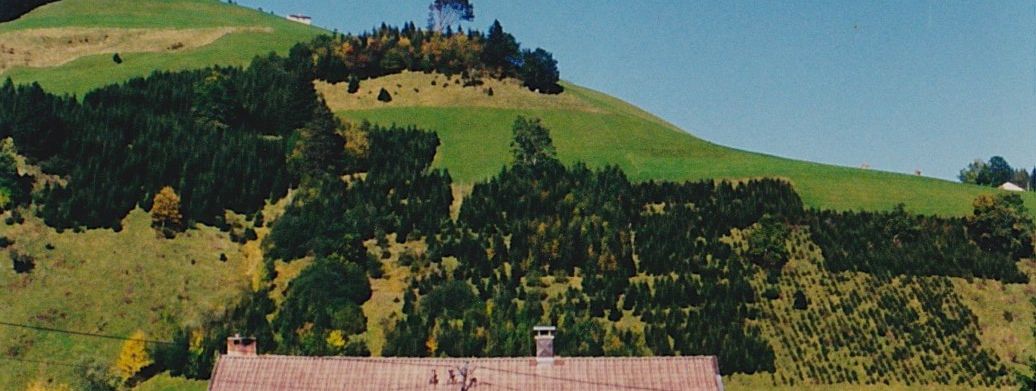 Detaillierte Infos zur Unterkunft Ferienwohnungen Ahrndt