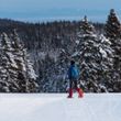 Information about the ski resort Rogla