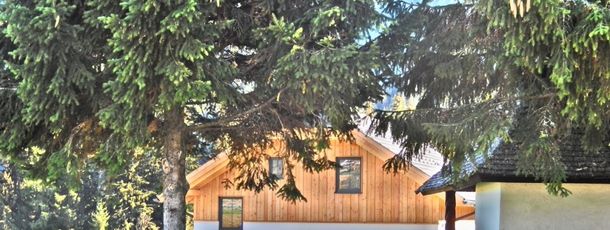 Detaillierte Infos zur Unterkunft Alpenchalet Mitterberg