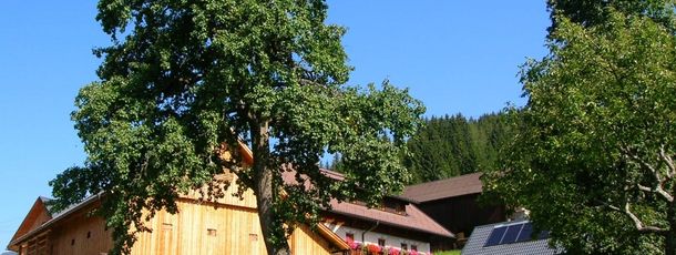 Detaillierte Infos zur Unterkunft Schabushof