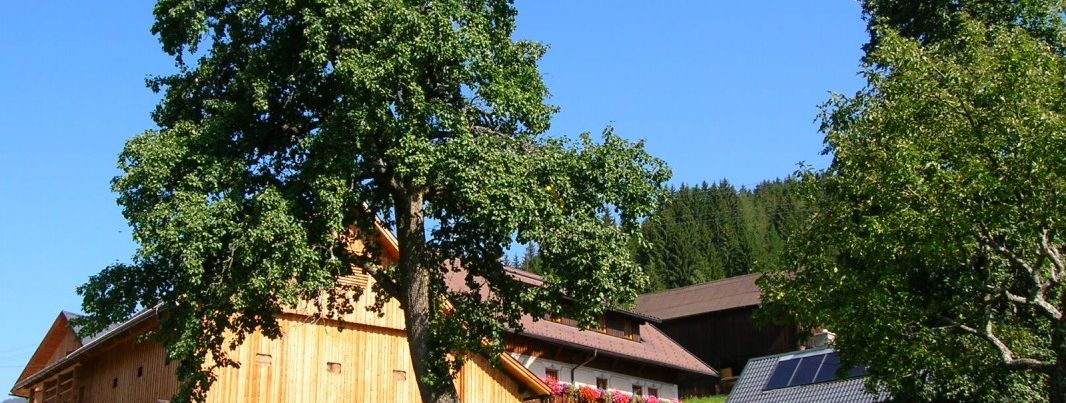 General information about your stay at Schabushof