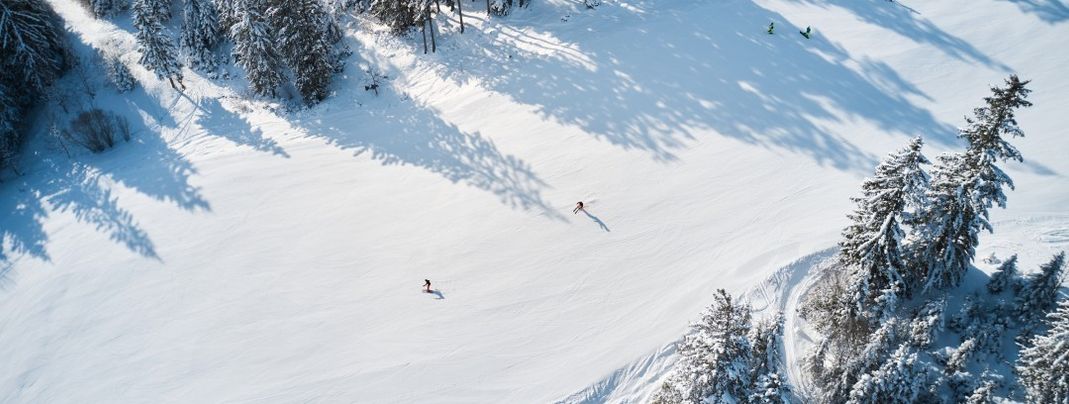 Der Großteil der Pisten in Berwang sind blau markiert und damit perfekt für Einsteiger und Familien.