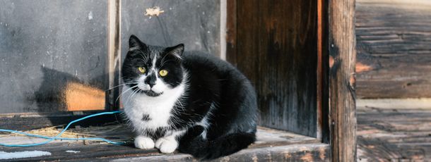 General information about your stay at Familienbauernhof Göttfriedbauer