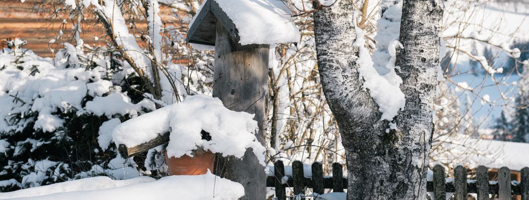 Detaillierte Infos zur Unterkunft Familienbauernhof Göttfriedbauer