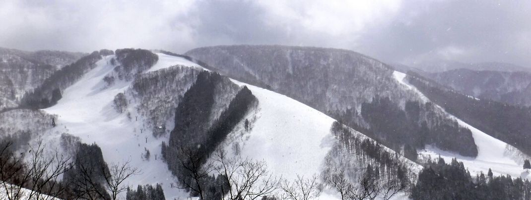 View towards Sky Line slope