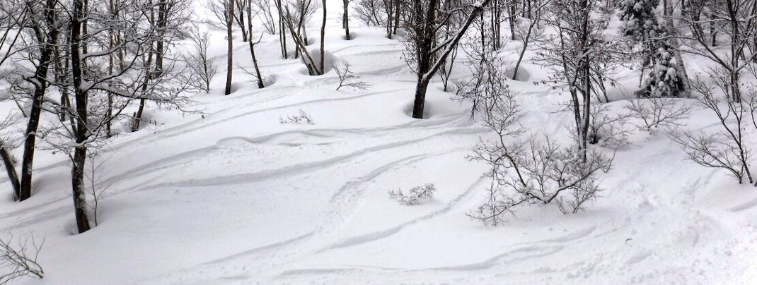 Off-Piste Area in Nozawa Onsen